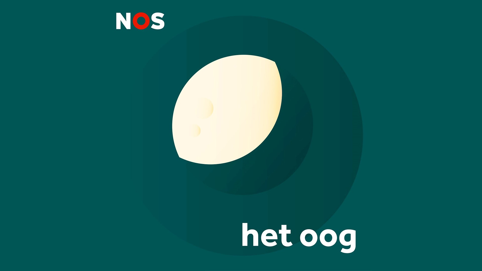 NTA-onderzoeker Willemijn Kadijk in “Met het Oog op Morgen”