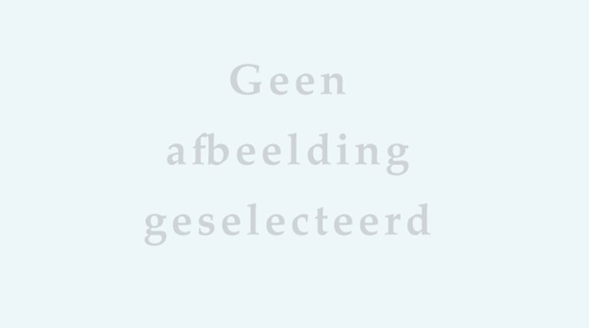 Fenomeenanalyse gemeente Gouda - 2024
